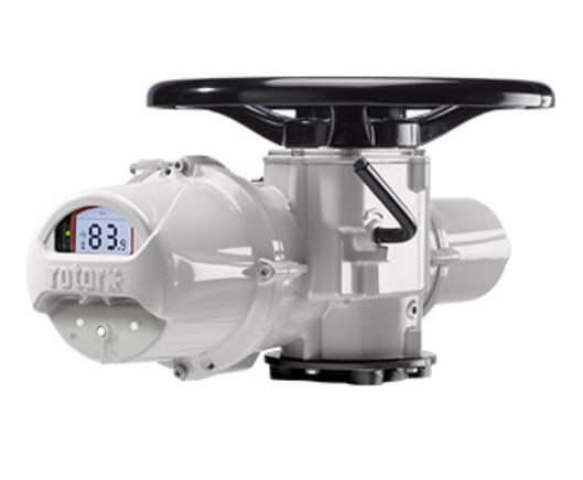 原裝進口IQ3羅托克IQ70智能型電動執(zhí)行器電動閥門裝置